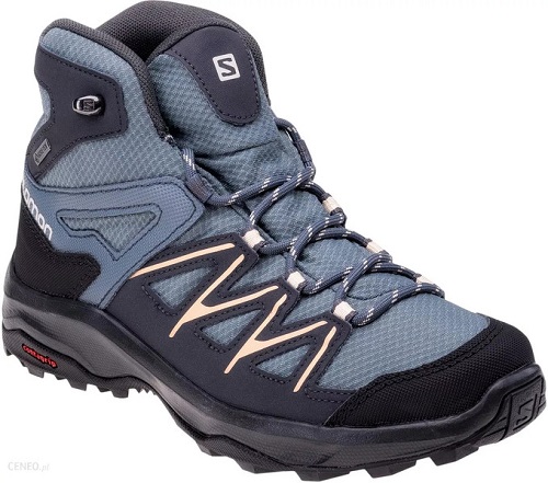 Ботинки Salomon DAINTREE MID GTX W StoWeaEbony